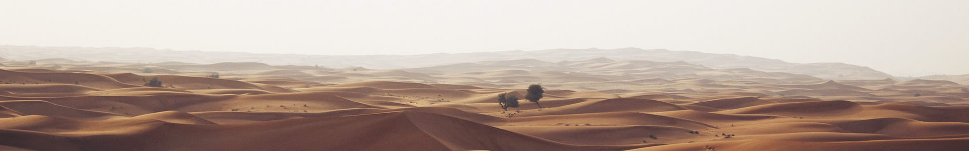 ŷɹó޹˾
